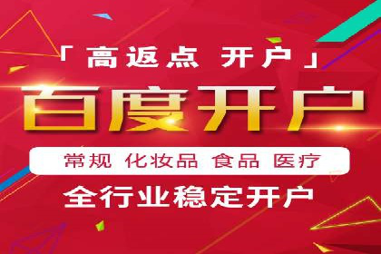 百度SEO优化公司案例：打造品牌网络曝光新高度